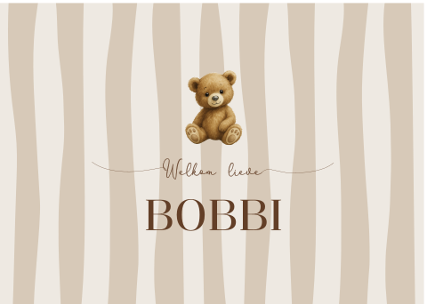 Geboortebord raambord beer strepen jongen