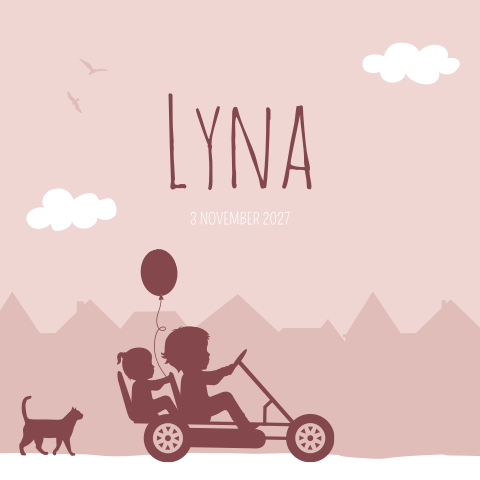 Geboortekaartje Meisje Skelter Stoer Broer