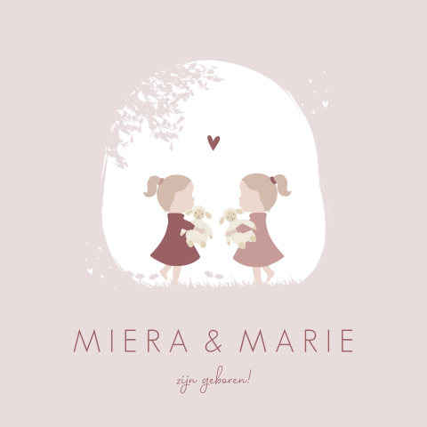 Geboortekaartje Tweeling HappyHorse Zusjes Roze