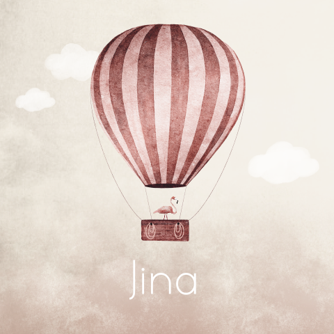 Geboortekaartje Meisje Luchtballon Flamingo