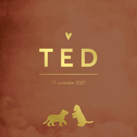 Geboortekaartje Roestbruin goud jongen leeuwtjes