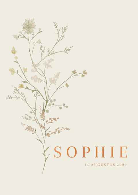 Geboortekaartje Meisje Droogbloemen Boeket Chique