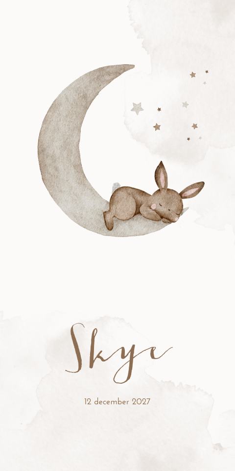Geboortekaartje Meisje Maan Waterverf Konijntje
