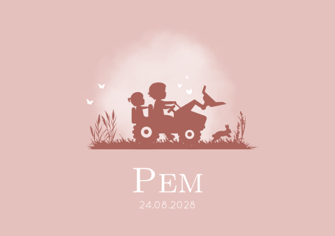 Geboortekaartje Silhouet Traptrekker Kindjes