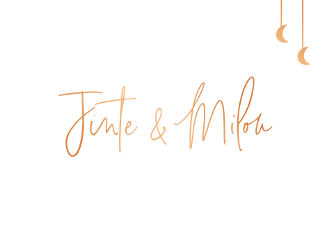 Geboortekaartje Tweeling Koperfolie Maantjes Eenvoudig