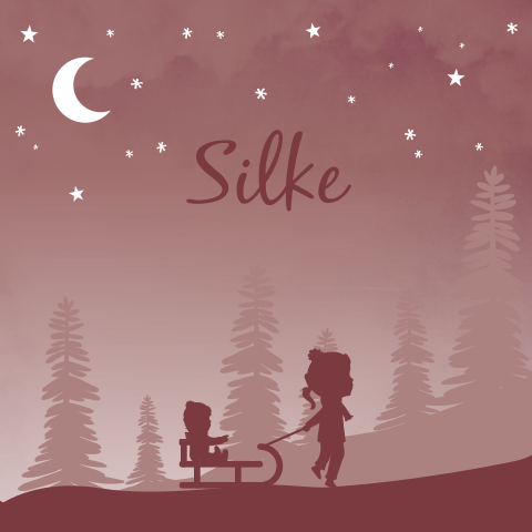 Geboortekaartje Meisje Winter Slee Sneeuw