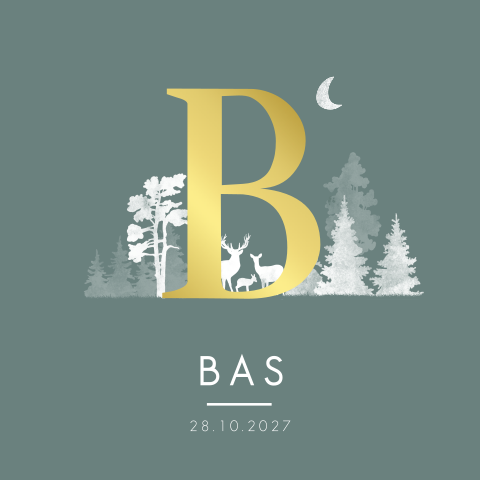 Geboortekaartje Jongen Bos Dieren Letter