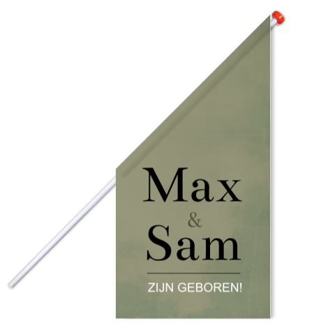 Vlag Tweeling Groen Stoer Jongens