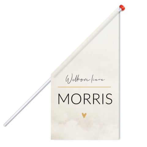 Vlag L Beige Stoer Gewolkt