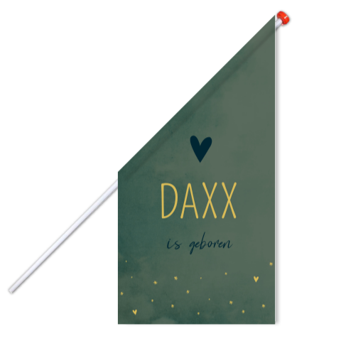 Vlag Daxx