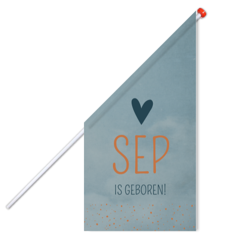 Vlag geboortevlag blauw