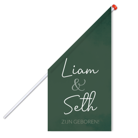 Vlag Geboorte Tweeling Groen Stoer