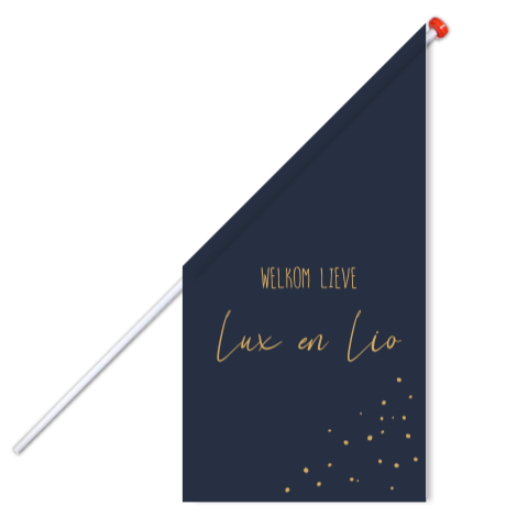 Vlag Tweeling Donkerblauw Stippen Welkom