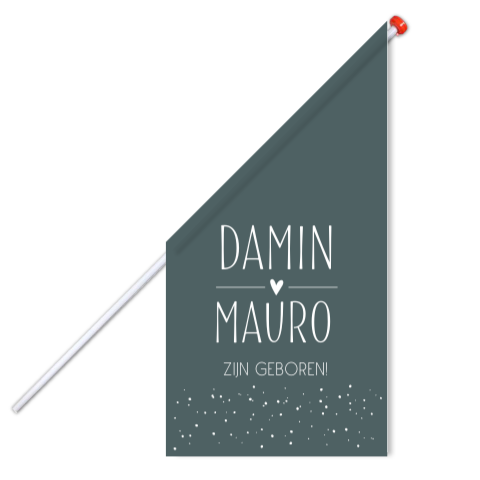 Vlag Tweeling Stippen Klassiek Oudblauw