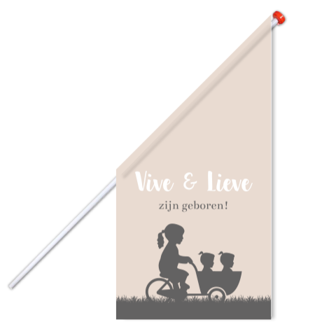 Vlag Geboorte Tweeling Bakfiets Zusjes