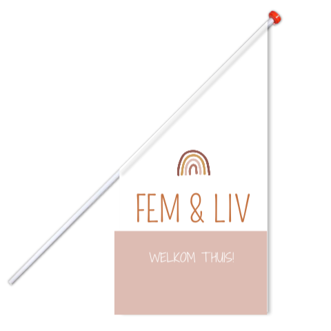 Vlag Tweeling Roze Regenboog Welkom