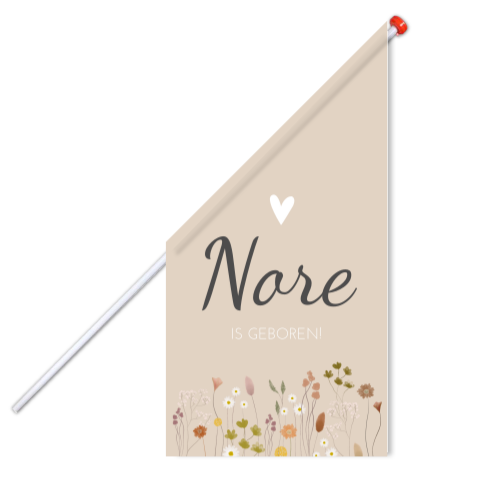 Vlag L Meisje Roze Droogbloemen