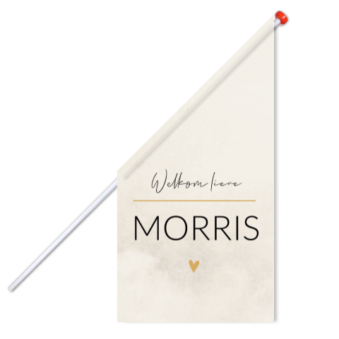 Vlag L Beige Stoer Morris