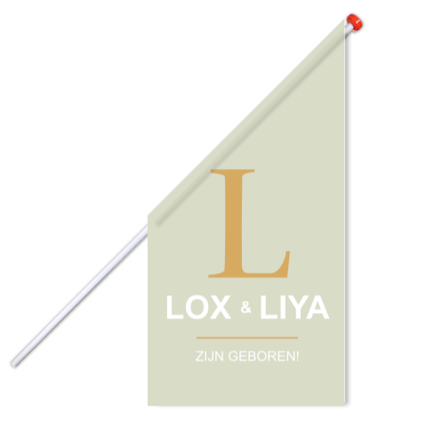 Vlag Tweeling Mintgroen Inititaal Groen