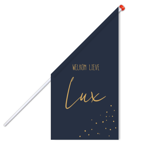 Vlag Jongen Donkerblauw Stippen Welkom