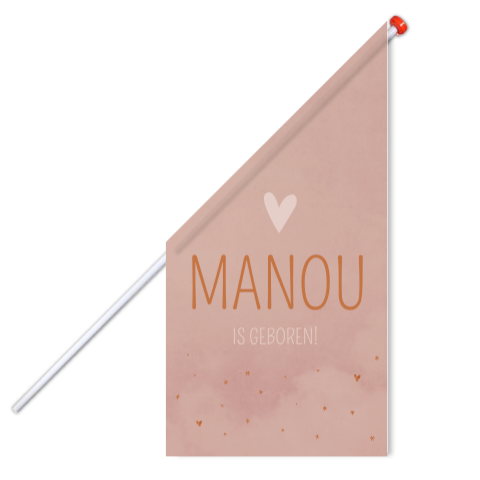 Vlag L Meisje Koperkleur Roze