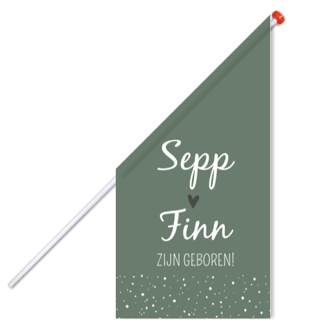 Vlag Geboorte Tweeling Groen Stippen