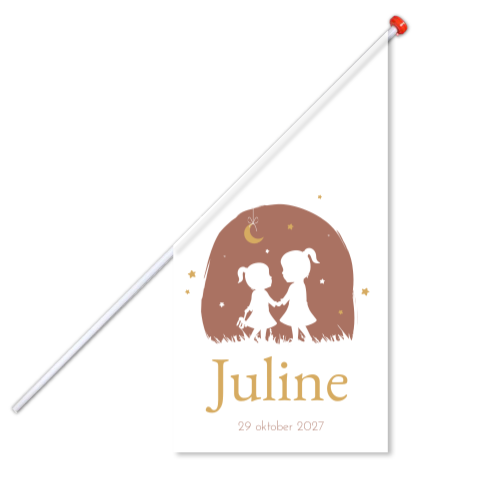 Vlag L Meisje Silhouet Roze