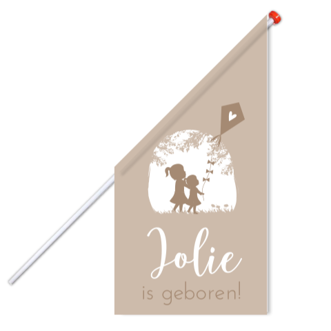 Vlag Geboorte Roze Vliegeren Zusjes