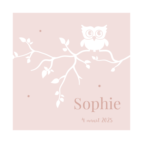 Lief geboortekaartje met een uiltje voor een meisje