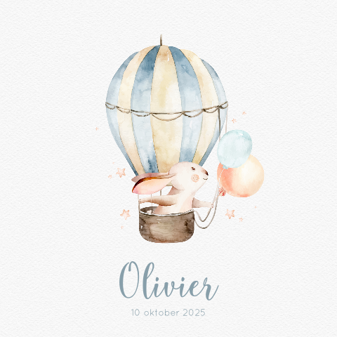 Lief geboortekaartje met tekening konijn in luchtballon