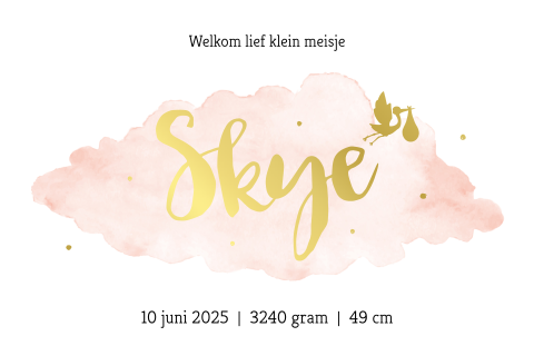 Geboortekaartje roze watercolor wolk met naam en ooievaar in goudfolie