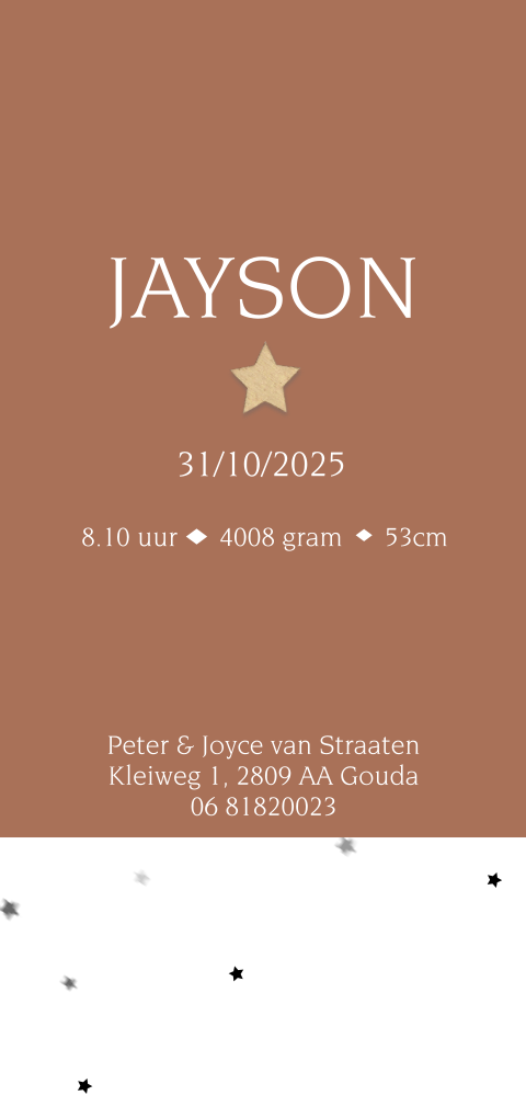 Lief geboortekaartje met bij te bestellen houten sterretje