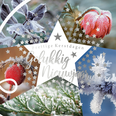 Kerstkaart met winterse natuurfoto's en zilverfolie
