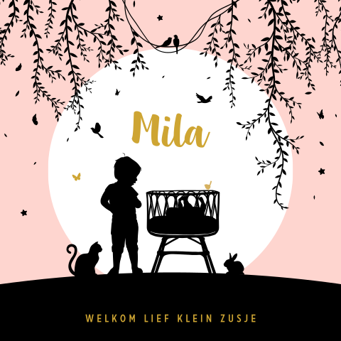 Hip geboortekaartje voor een meisje met silhouet van grote broer
