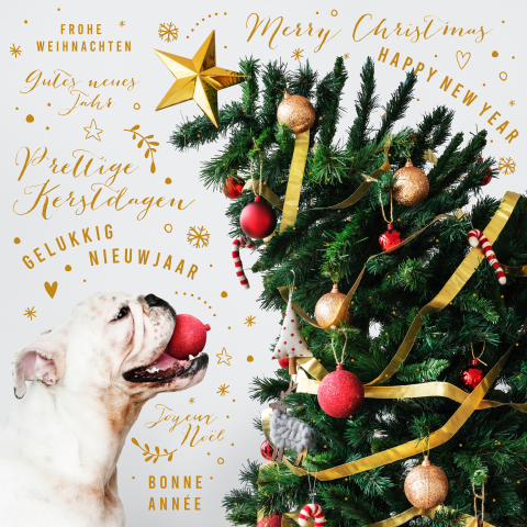 Grappige kerstkaart met hond en kerstboom
