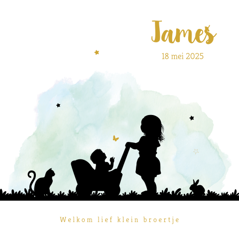 Hip geboortekaartje jongen met silhouet van grote zus met kinderwagen
