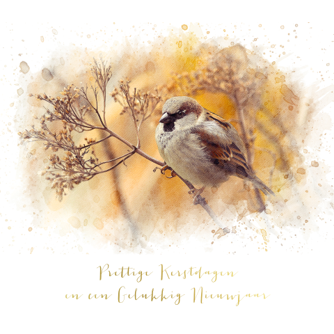 Kerstkaart met watercolor vogel met folie