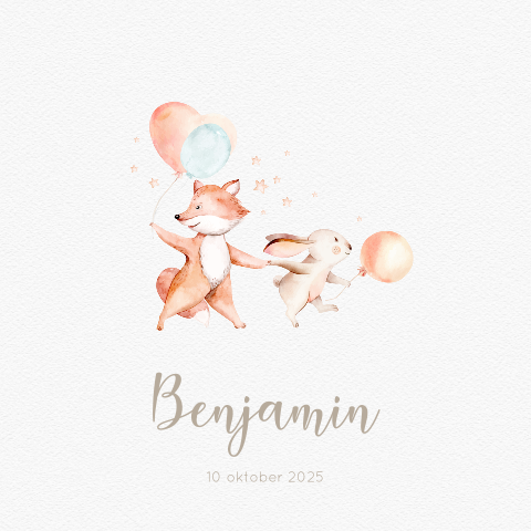 Lief geboortekaartje met tekening vosje en konijn