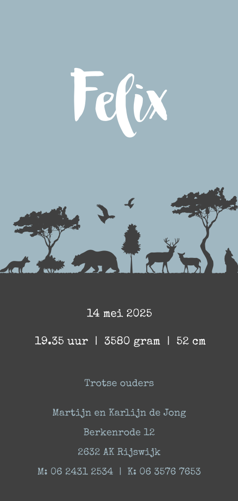 Stoere avontuurlijke geboortekaart met dieren voor een jongen