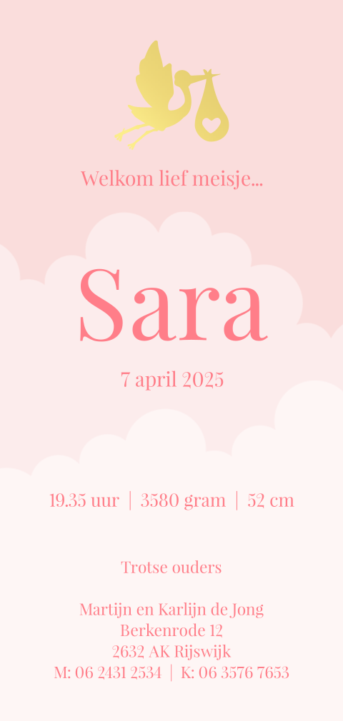 Hip geboortekaartje met ooievaar in goudfolie voor een meisje