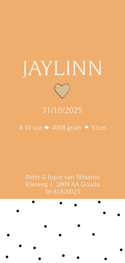 Lief geboortekaart met houten hartje