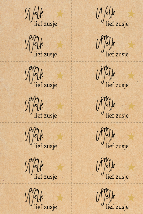 DIY label kraft 7x3cm - Welkom lief zusje
