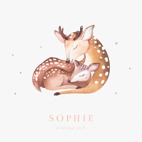 Lief geboortekaartje met tekening van hertjes