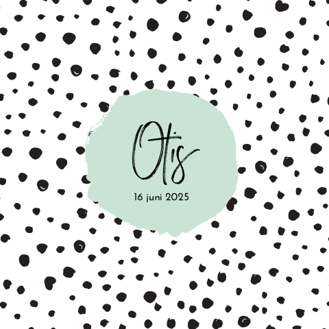 Hip geboortekaartje jongen met stippen mint