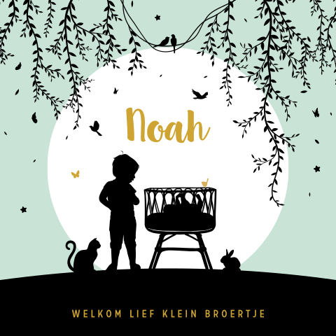 Hip geboortekaartje voor een jongen met silhouet van grote broer