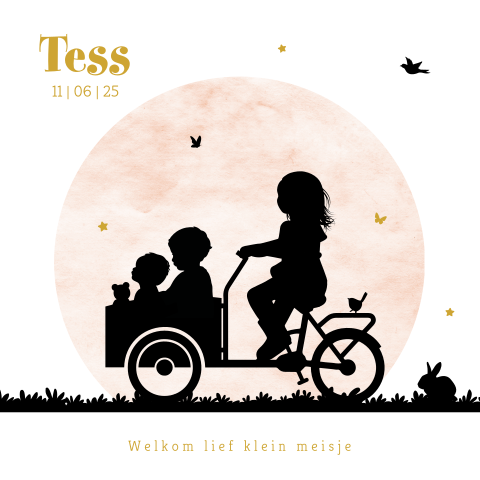 Hip geboortekaartje roze meisje met silhouet zus, broer en bakfiets