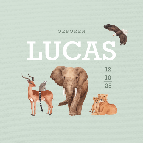 Hip geboortekaartje met safari dieren voor een jongen