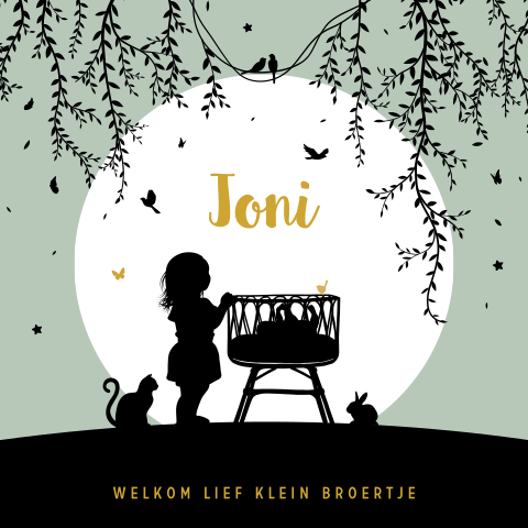 Hip geboortekaartje voor een jongen met silhouet van grote zus