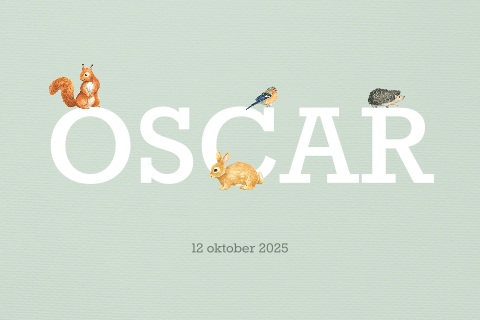 Lief groen geboortekaartje met naam en bosdiertjes