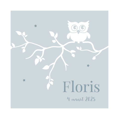 Lief geboortekaartje met uiltje voor een jongen